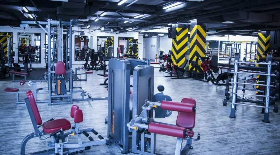 King s gym. Кингс джим рио. kings gym рио дмитровское. фитнес клуб рио дмитровское шоссе. кинг джим шелковый путь.