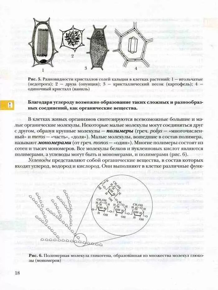 Биология 9 класс Пономарева Корнилова Чернова. Биология 9 класс учебник Пономарева Корнилова. Биология 9 класс Пономарева Корнилова Чернова 2019. Биология 9 класс учебник Пономарева Корнилова Чернова оглавление. Учебник по биологии 9 класс пономарева читать