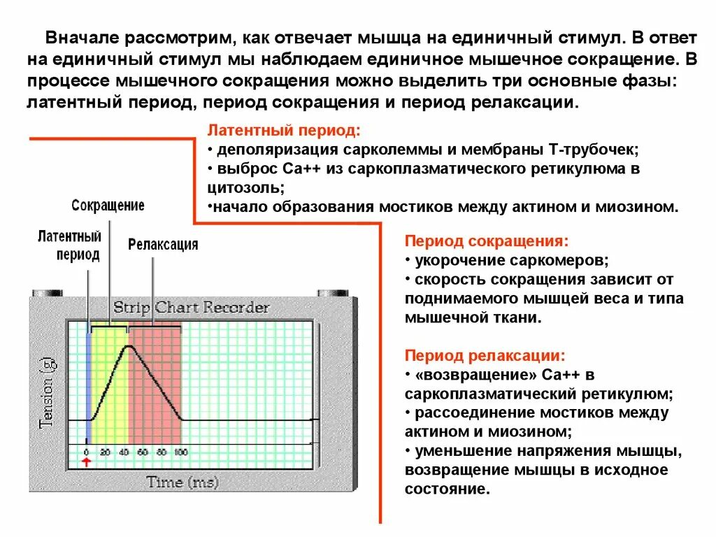 Экспериментатор решил установить зависит ли мышечная сила