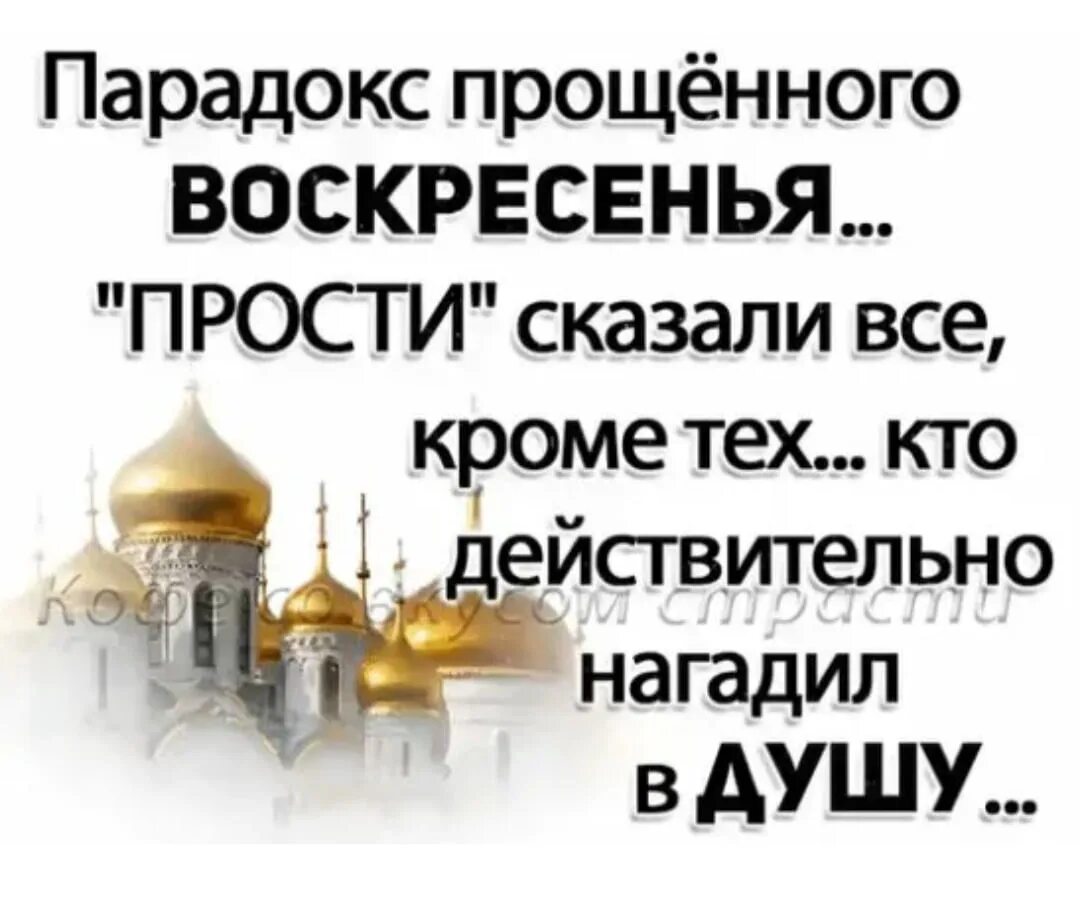 Прощения попросили все кроме тех. Парадокс прощенного воскресенья в том что. Парадокс прощенного воскресенья прости. Парадокс прощенного воскресенья прости сказали все. Парадокс прощенного воскресенья картинки.