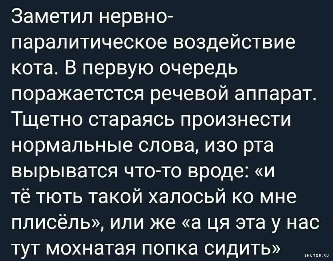 Тщетный это простыми словами. Тщетно. Тщетно предложения