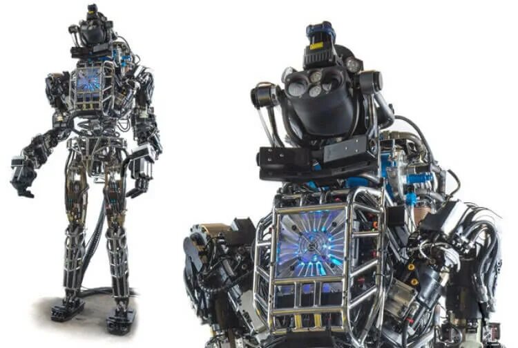 Robot complex