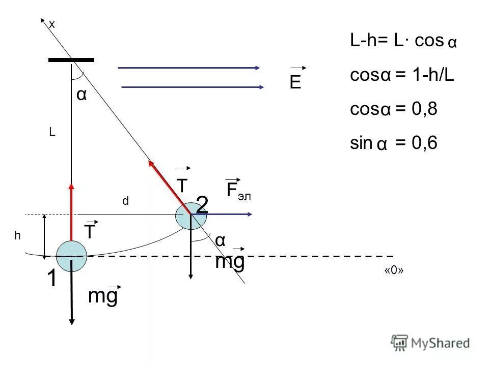 Магазин cos в стамбуле. Ассортимент магазина cos. Cos h. Cos коллекция 2022. H&m cos.