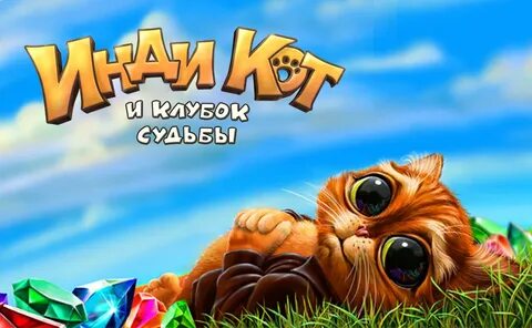 Твой пит