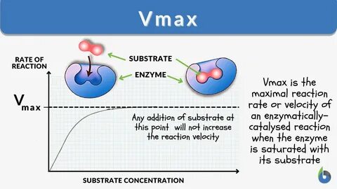 exam from enzyme kinetics calculation - makpa.com.