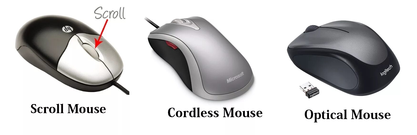 Mouse definition. Types of mouses. types of computer mice. тайп маус. computer mouse parts.