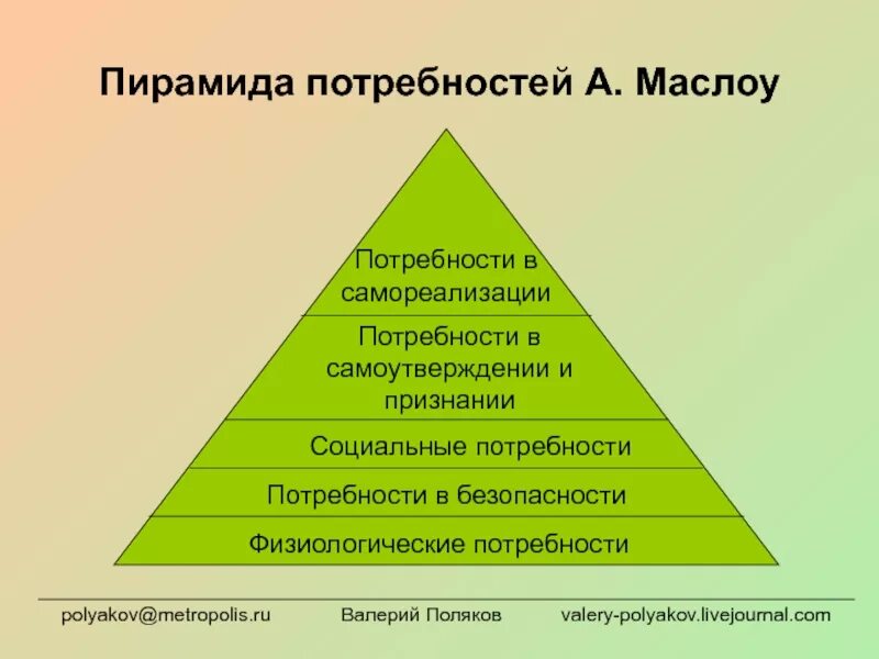 К высшим потребностям относятся