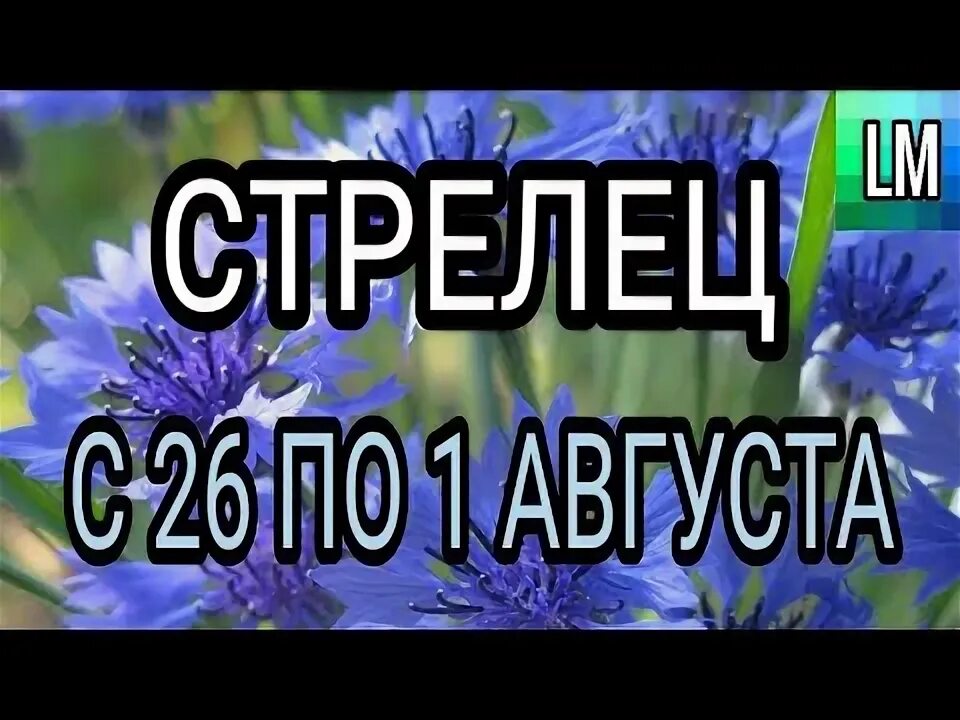 С 1 днем августа. Лето август. Первое августа 2021. Первое августа 2021. 1 августа именины.