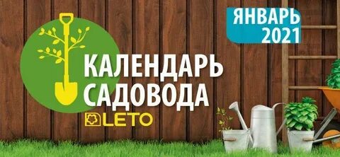 Садовод январь