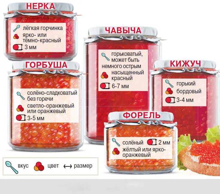 Красная икра какие виды – Telegraph