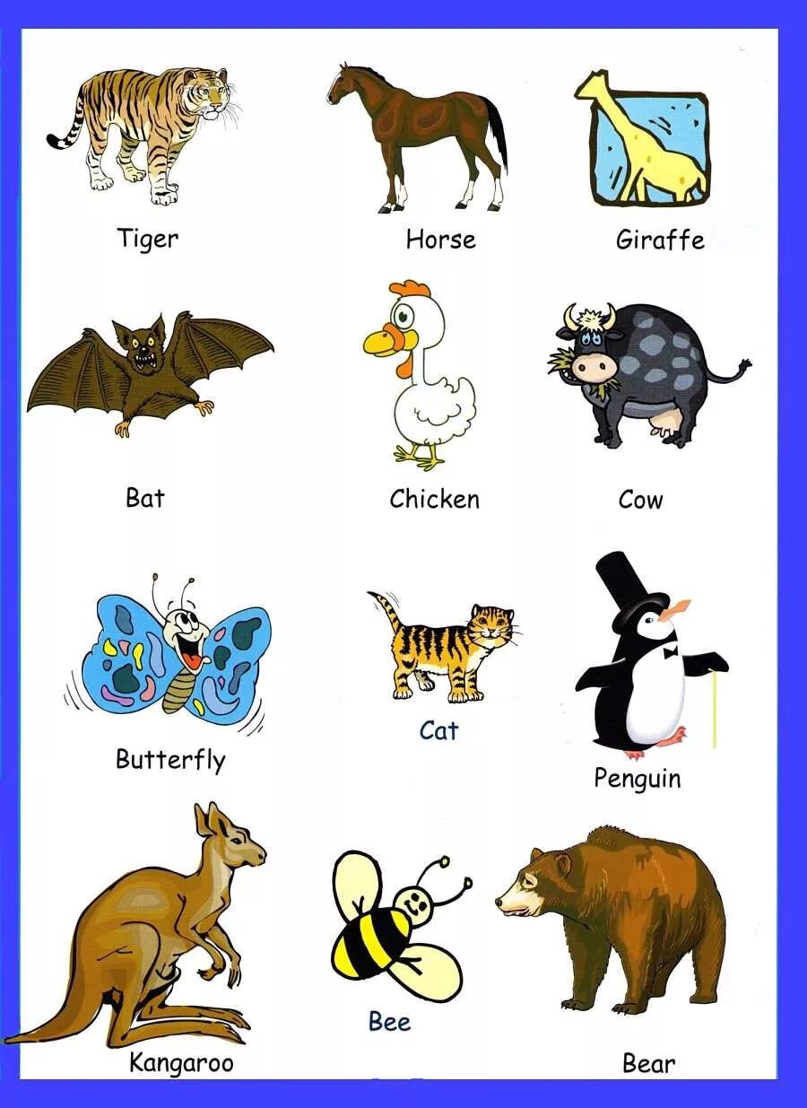 Животные на англ. Животные на английском языке для детей. Животные на английском картинки. Вокабуляр животные английский.