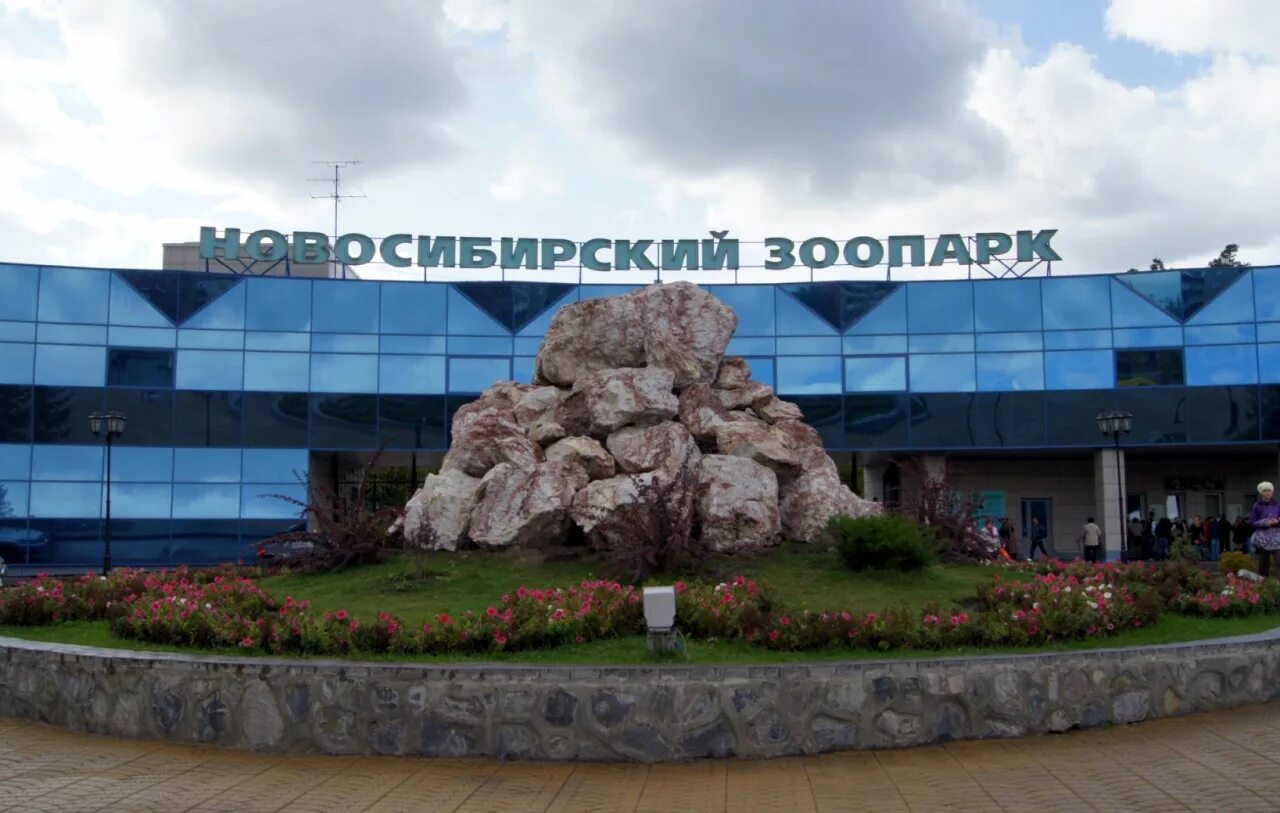 Новосибирский зоопарк достопримечательности новосибирска. Вокзал главный зоопарк. Зоопарк имени шило новосибирск. Достопримечательности новосибирска зоопарк. Новосибирский зоопарк новосибирск.