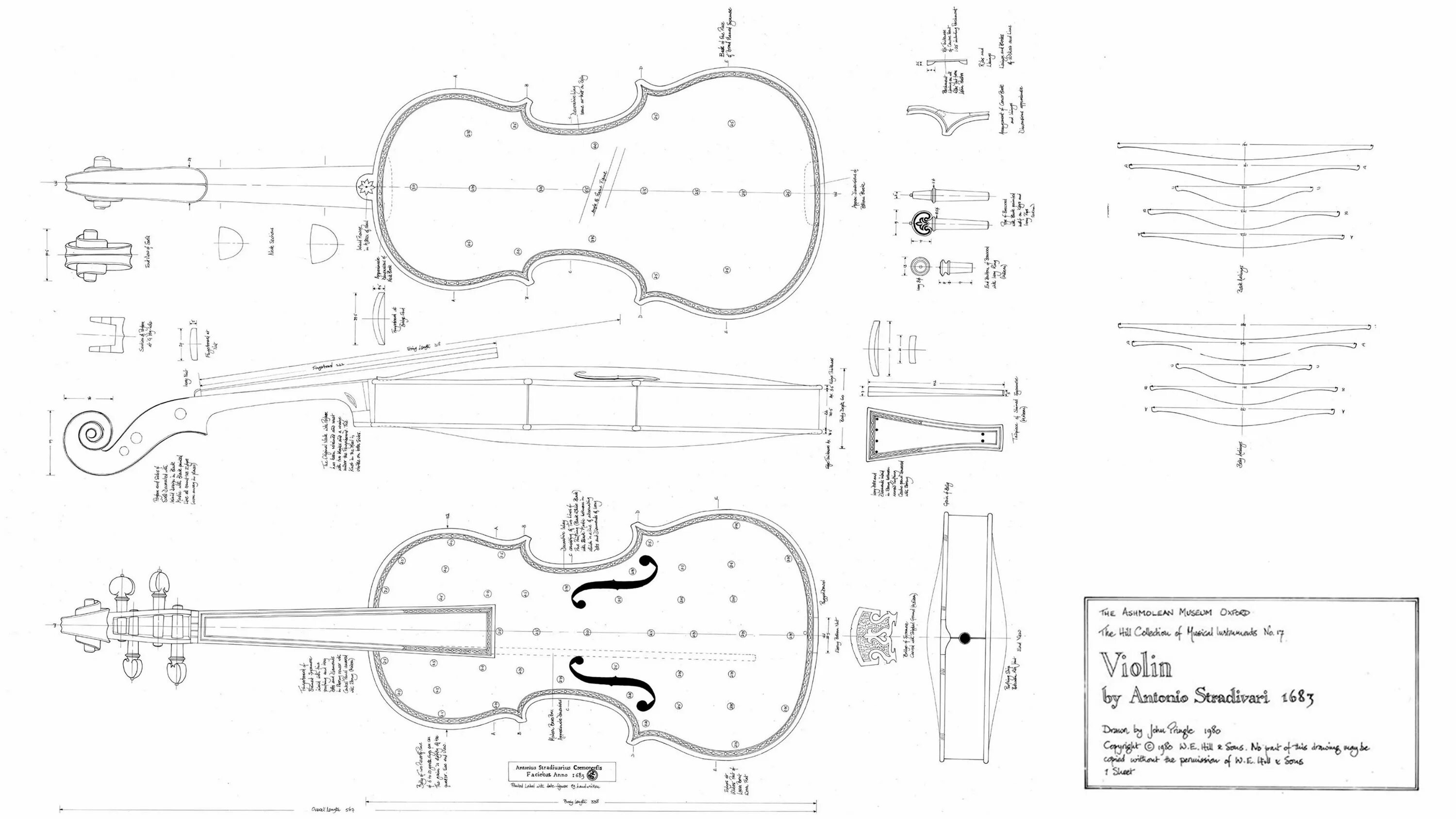 Чертеж скрипки Antonio Stradivari. Чертежи скрипки Гварнери. Гриф скрипки чертеж. Скрипка чертеж вид сбоку. Схема скрипки