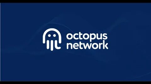 Oct network