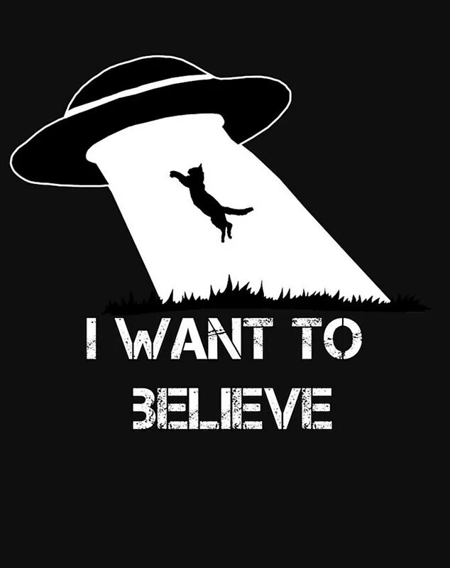 I want to believe плакат. I woant to belive. Плакат с НЛО I want to believe. Плакат Малдера i want to believe.