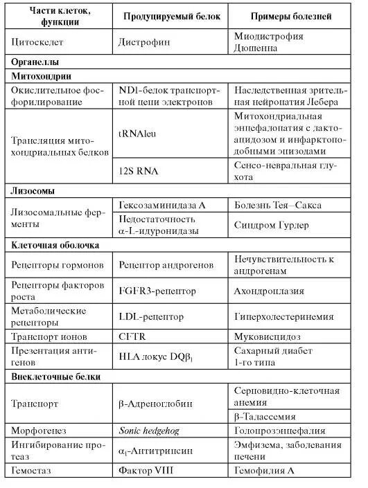 Генетические болезни человека таблица. Характеристика наследственных заболеваний таблица. Генные болезни человека таблица. Генетические заболевания человека таблица с типами.