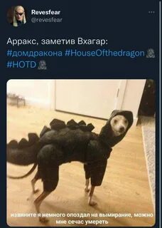 Извините я сегодня немного опоздал