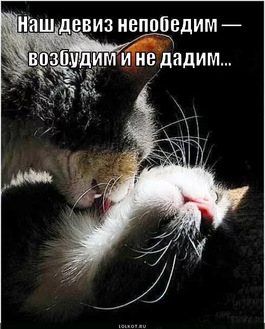 Наш девиз непобедим. Наш девиз непобедим возбудим и недодим. наш девиз возбудим. возбудим и не дадим.