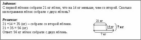 С одной яблони собрали