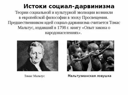 Социал дарвинизм это