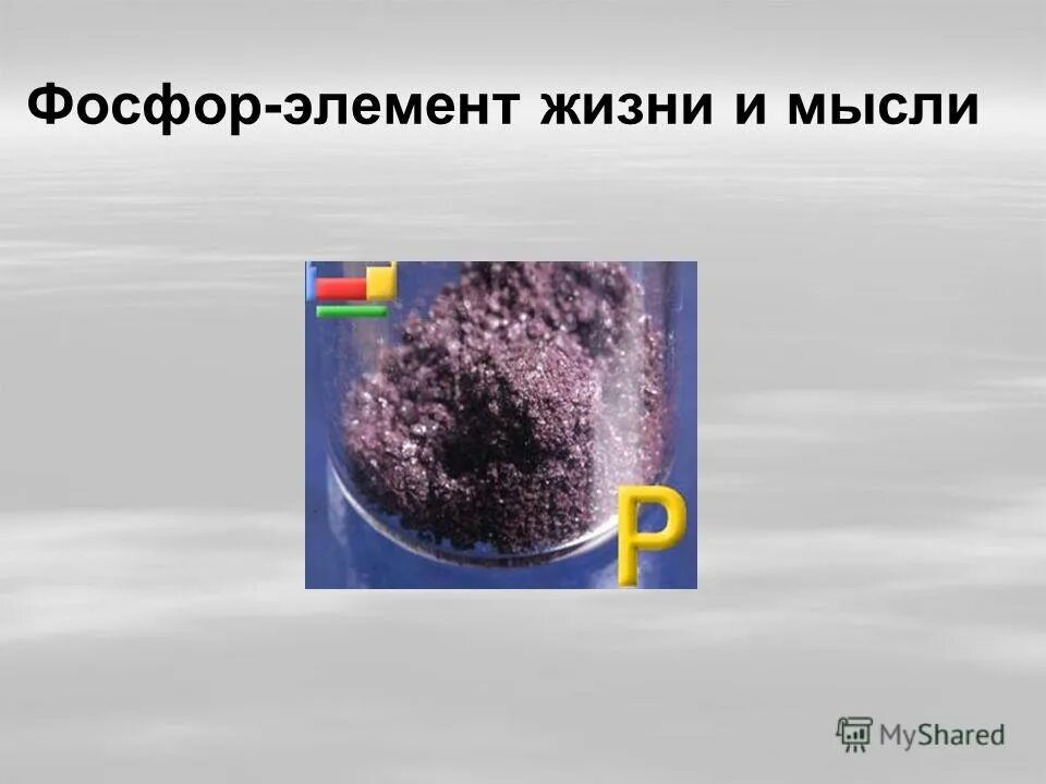 Ферсман назвал фосфор элементом жизни и мысли. Фосфор элемент жизни и мысли. Академик ферсман а. Фосфор элемент жизни и мысли. Почему фосфор называют элементом жизни.