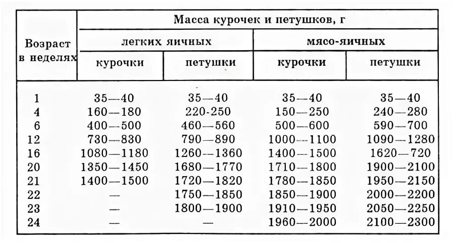 Сколько весят куры