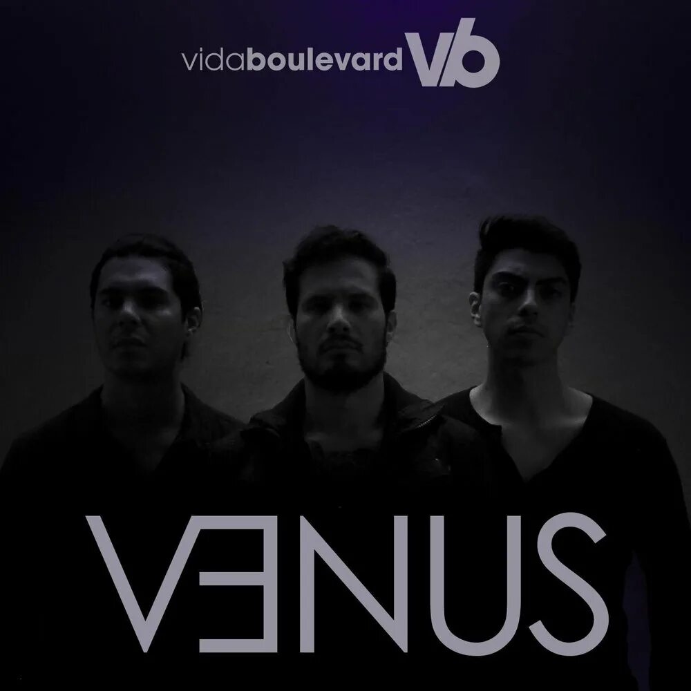 Venus (шизгара, 1969) shocking blue. Группа shocking blue venus. Группа шокин блю. Venus mp3. Группа shocking blue.
