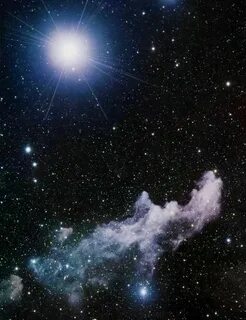 Покажи настоящую звезду