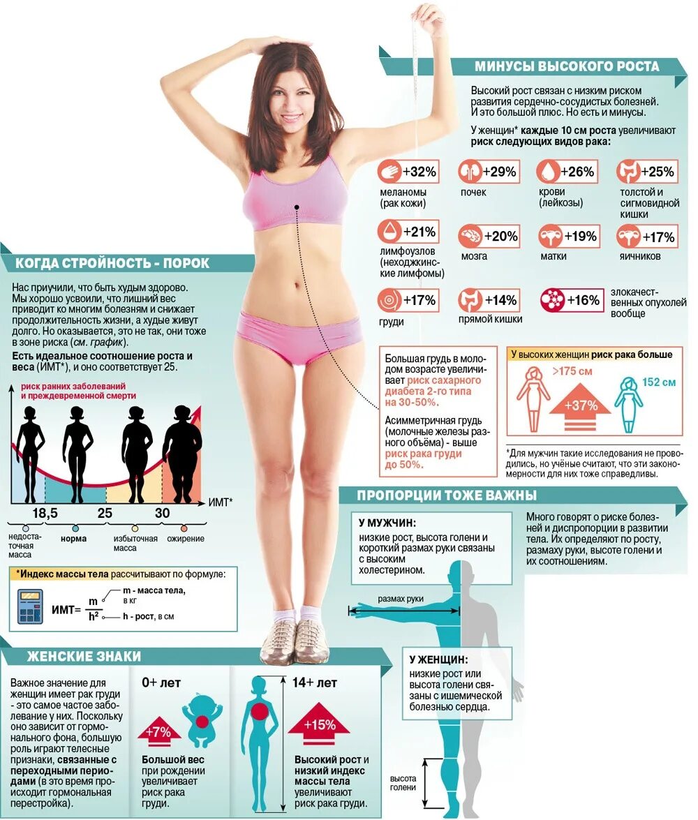 Инфографика тело. Как увеличить рост. Инфографика девушка женщина. Стройность инфографика.