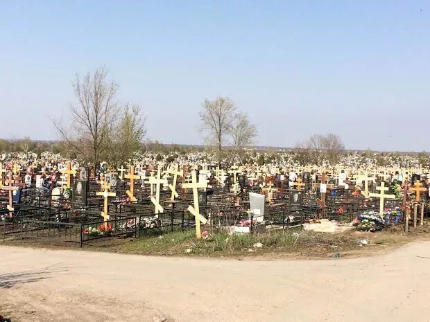 В Ростовской области учёные ЮФУ проверили старинные могилы на наличие тяжёлых ме