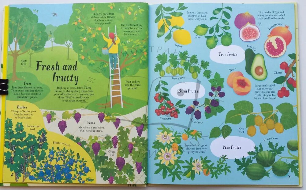 In start it all. It starts with a seed обложка. usborne beginners trees. usborne minis hand shadows. usborne forest mazes.