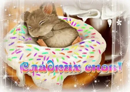Гифки сладких сновидений