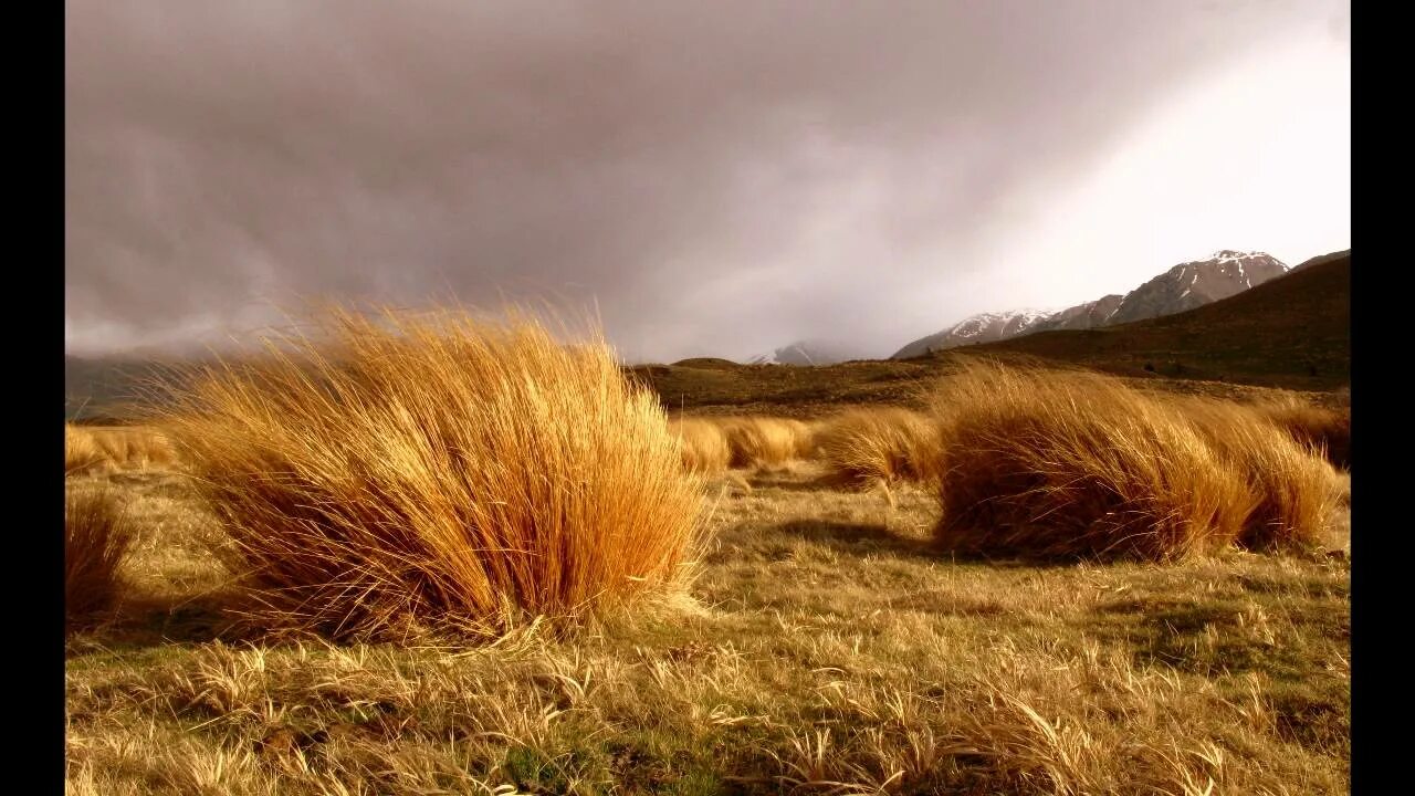 When the wind. When the wind