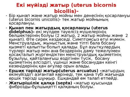 Үйде жасалған үлкен киска