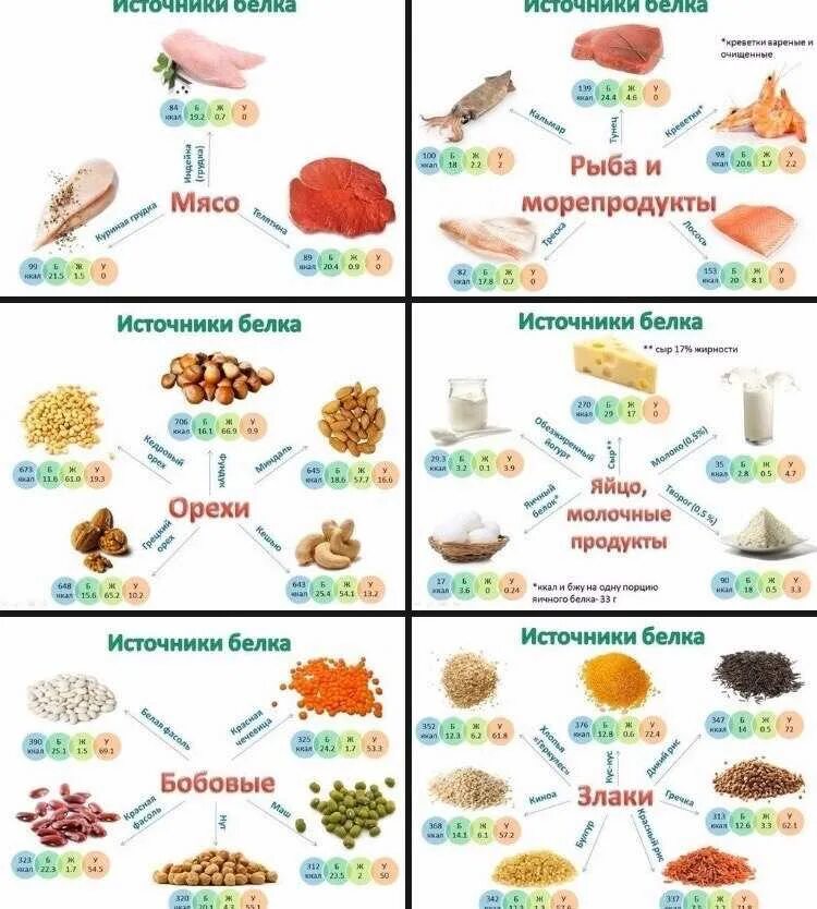 Источники белка в питании таблица. Продукты содержащие много белка таблица. Продукты содержащие белки список продуктов. Продукты содержащие белок растительного происхождения таблица.