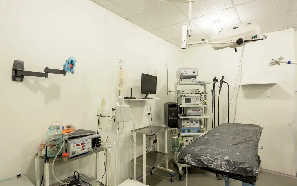 ветклиники автово спб