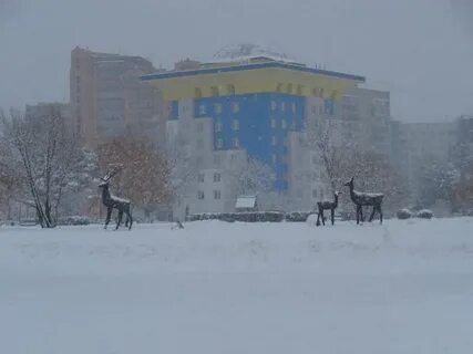 Погода в одинцово в ноябре