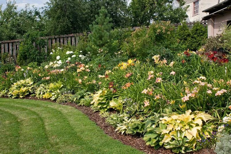 Some of our Bee Hives Amongst Stella d'Oro Daylilies Vegetable garden design, Da