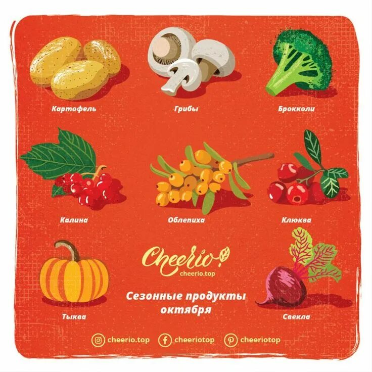 Сезонность продуктов. Сезонные продукты. Сезонные овощи. Сезонные продукты октября. Сезонные овощи и фрукты октябрь.