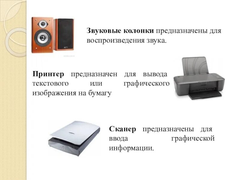 Устройством вывода текстовой информации является. Звуковые колонки, принтер, сканер. сканер предназначен для вывода информации. звуковые колонки назначение. колонки;наушники;микрофон;принтер;сканер.