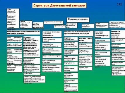 Отделы таможни