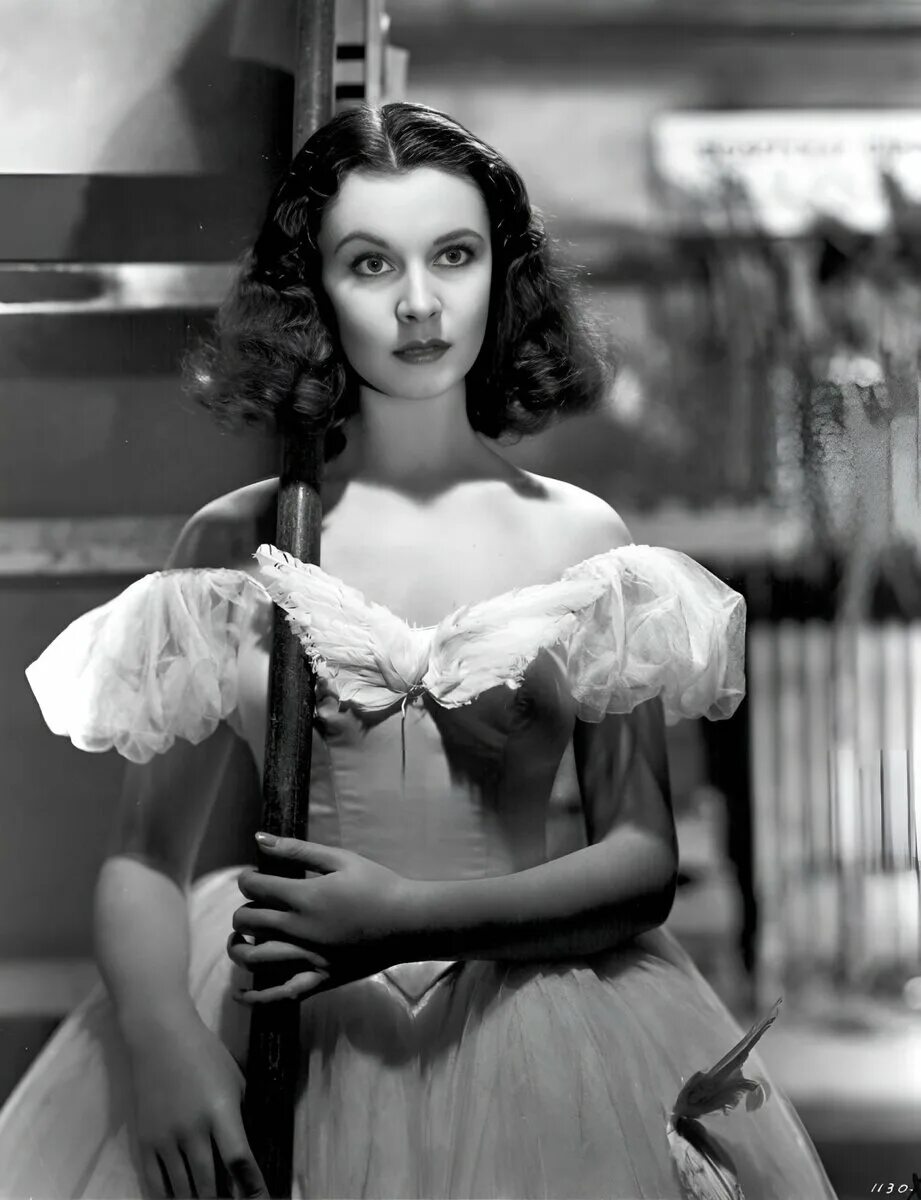 Вивьен финч. Вивьен ли. vivien leigh в молодости. актриса унесенные ветром вивьен.
