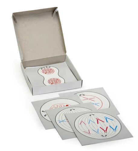 Комплект моделей-аппликаций демонстрационный для кабинета биологии. Комплект моделей ископаемые животные. Набор палеонтологических муляжей. Комплект этикеток для кабинет биологии. Муляжи для кабинета биологии.