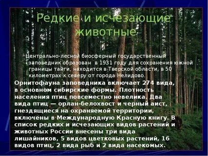 Заповедники природной зоны лесов