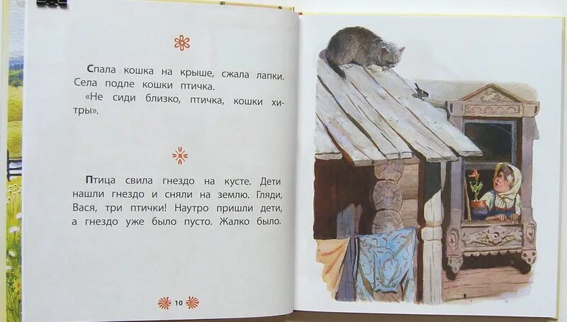 Л н толстой спала кошка на крыше. Рассказ спала кошка на крыше л толстой. Н. Л. Толстого «спала кошка на крыше».