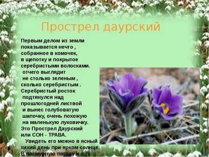 Ты откуда пострел