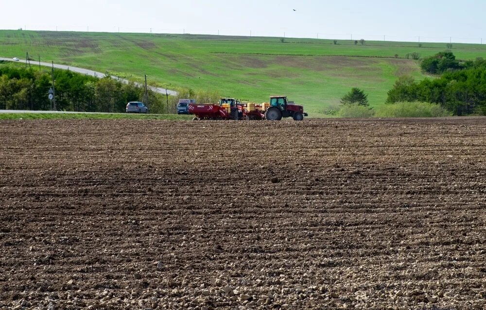 Почва сахалина 4 класс. Почвы сахалина. Амурско-приморско-сахалинская физико-географическая страна. Карта почв сахалина. Карта растительности сахалин.