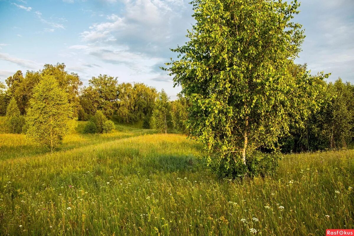 Каким будет лето татарстане. Лето в Татарстане. Пейзаж лето Татарстан. Природа Татарстана летом. Урняк Зеленодольский район.