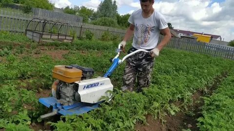 Мотокультиватор картофель