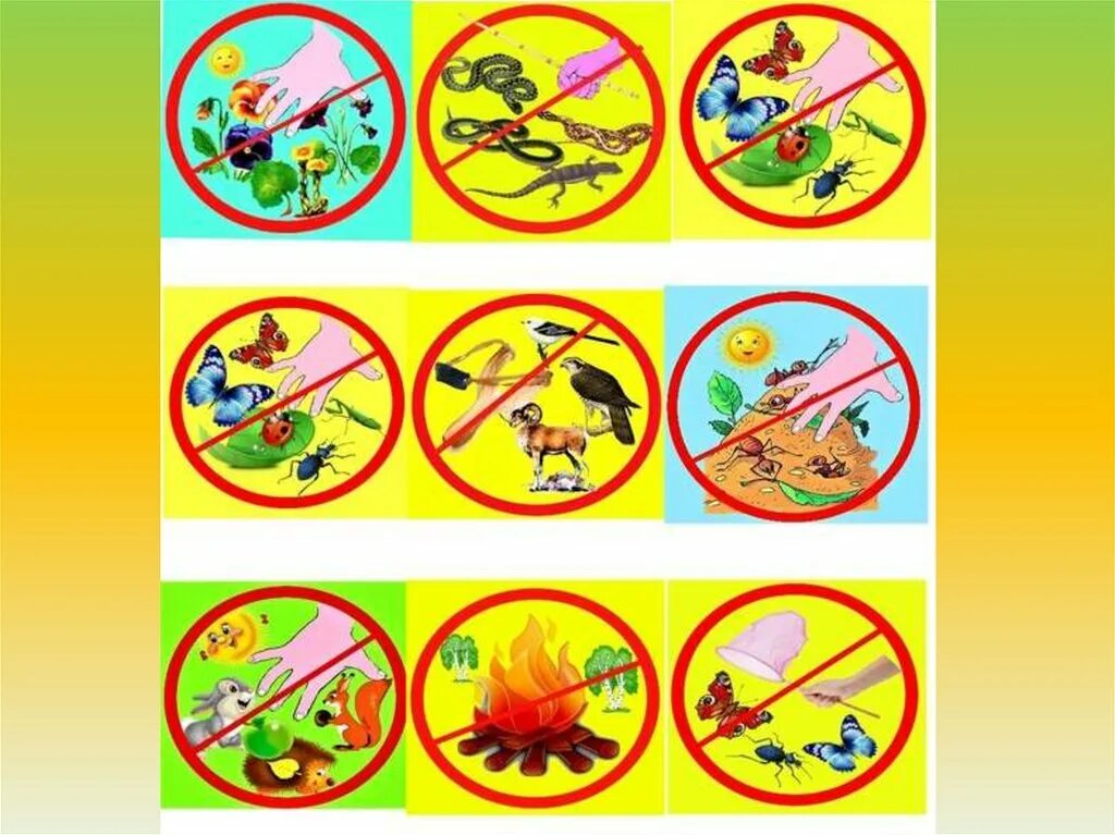 Правила поведения знаки для детей. Экологические знаки по охране природы. Запрещающие знаки в природе. Экологические знаки для детей. Природоохранные знаки в детском саду.